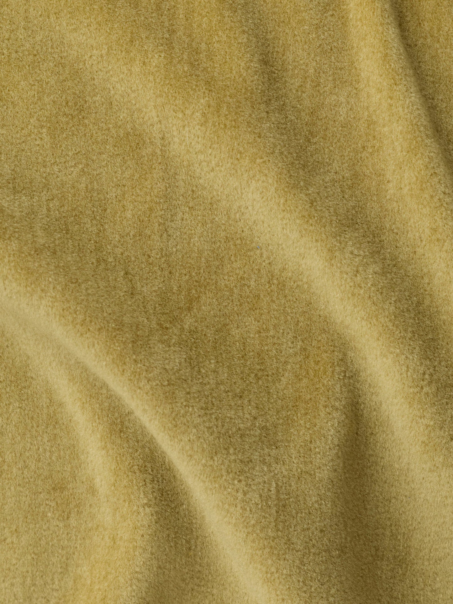 Golden green Wool Velvet