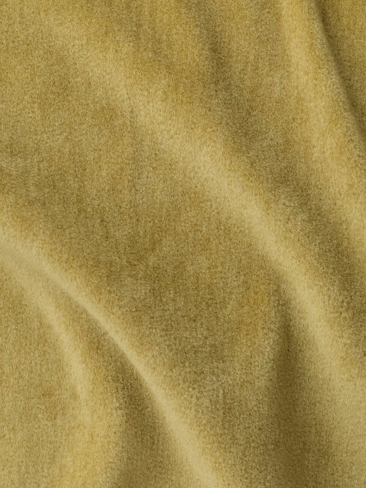 Golden green Wool Velvet