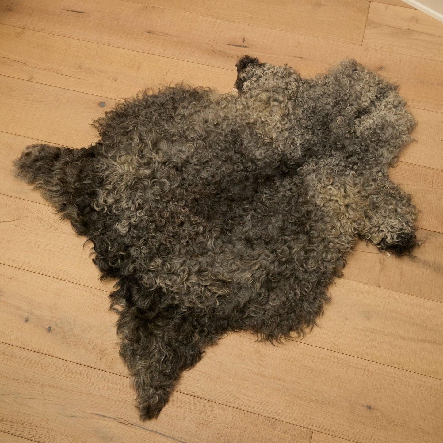 Sheepskin - Marie - Louise Sjögren