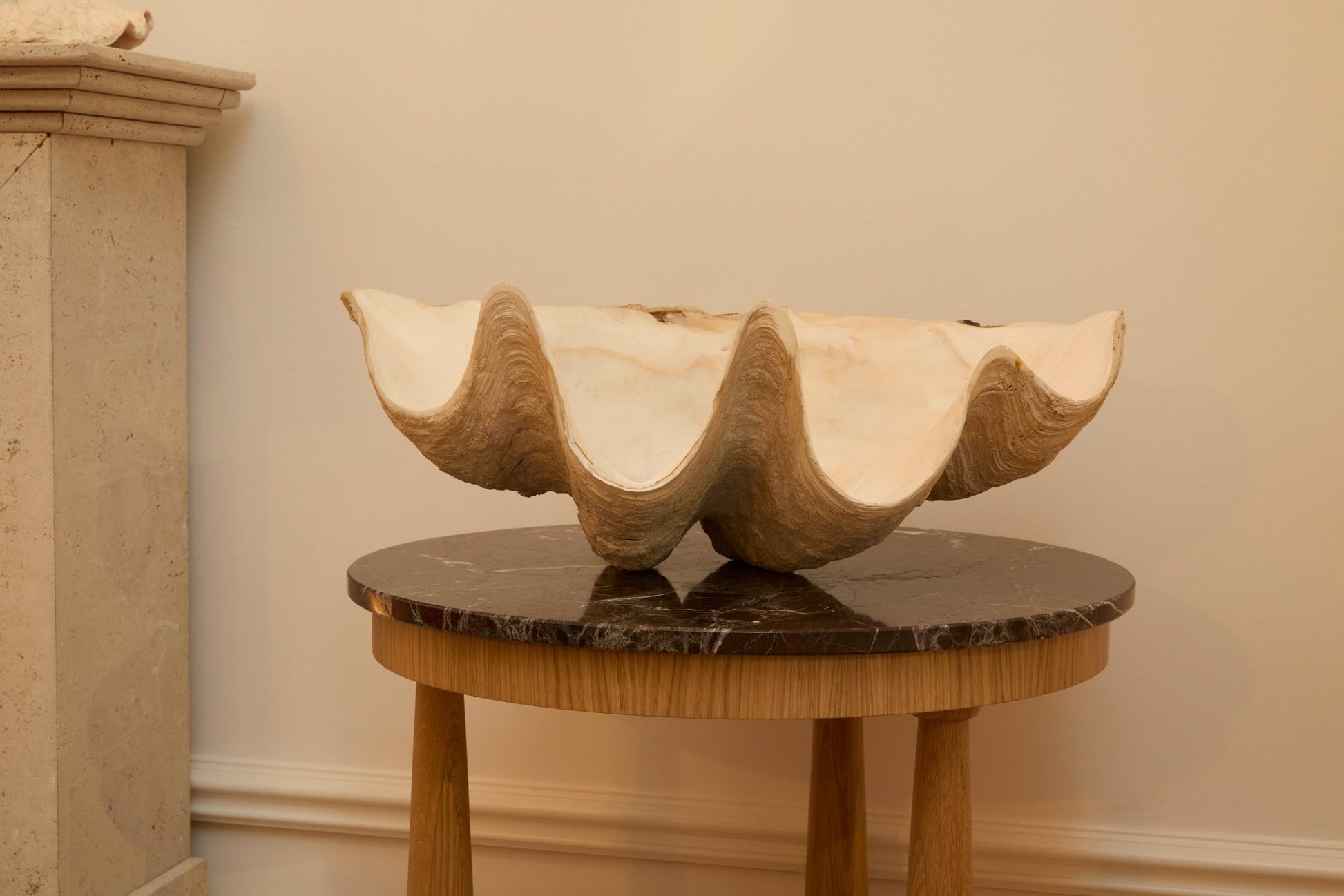 Seashell - Marie - Louise Sjögren